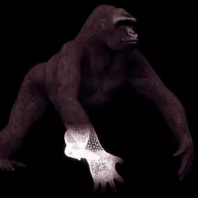 Animal Blackback Gorilla 3d model