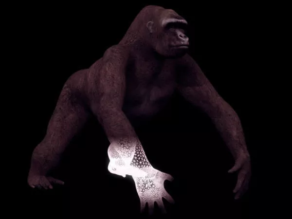 Realistic Black Gorilla 3d model
