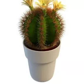 Blooming Cactus Indoor Plant 3d model