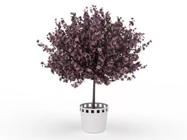 Indoor Blooming Purple Plant Pot 3d model Indoor Blooming Purple Plant Pot 3d model