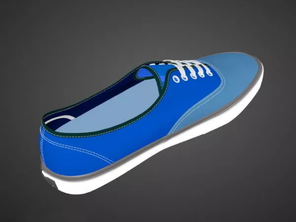 The Shoe On Table 3d model