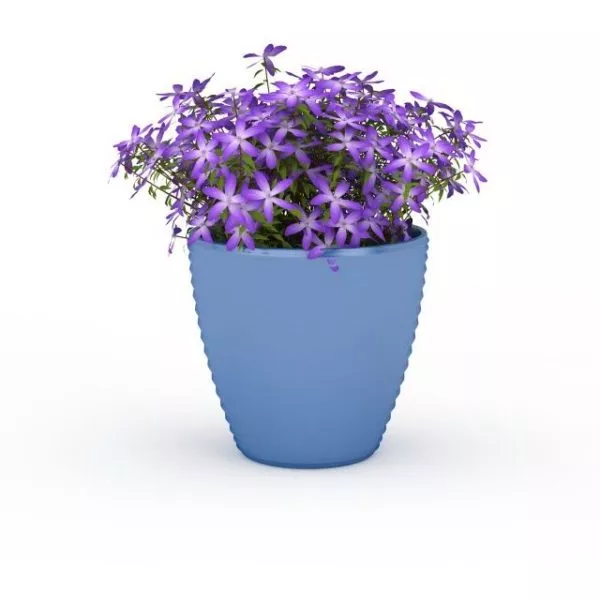 Purple Flowers On Ceramic Vase 3d model Purple Flowers On Ceramic Vase 3d model