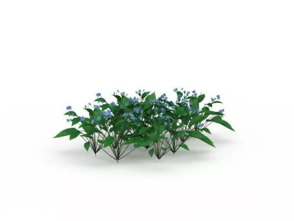 Gardenblue Flower Shrubs 3d model Gardenblue Flower Shrubs 3d model