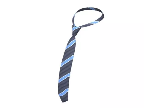 Striped Tie 3d model Striped Tie 3d model