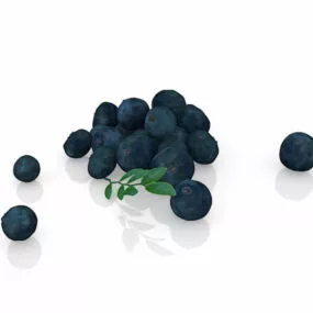 Nature Blueberry Fruit 3d model