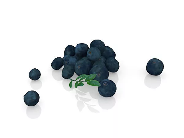 Nature Blueberry Fruit 3d model Nature Blueberry Fruit 3d model