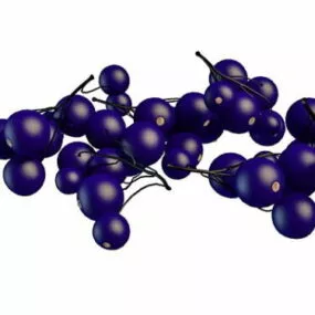 Purple Blueberry Fruits 3d model