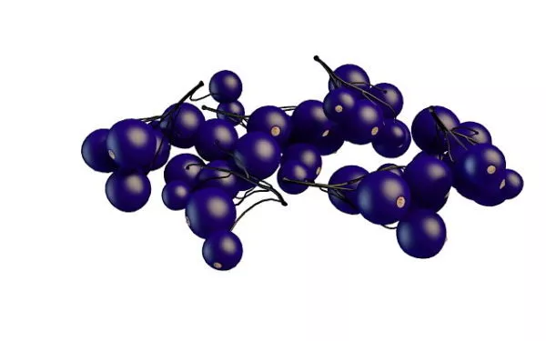 Realistic Cherries 3d model