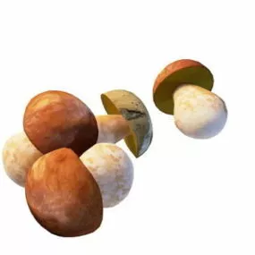 Boletus Edulis Fruit 3d model