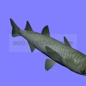 Animal Bora Mullet Fish 3d model