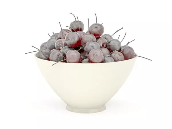 Porcelain Bowl 3d model