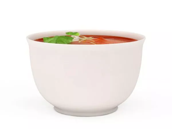 Porcelain Bowl 3d model