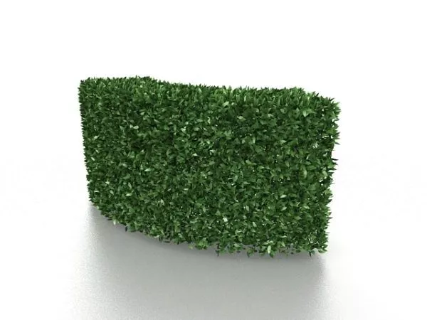 Box Hedge Garden Decoration 3d model Box Hedge Garden Decoration 3d model