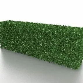 Box Hedge Garden Plants 3d model