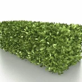Box Hedge Garden Shrubs 3d model