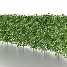 Garden Box Hedging With Topiary 3d model