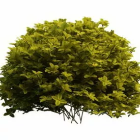 Box Topiary Ball Garden Decoration 3d model