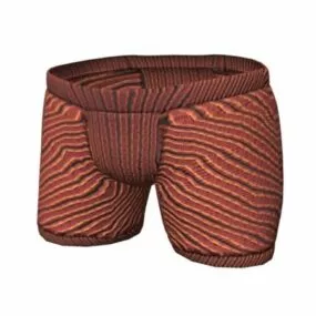 Boxer Briefs Fashion For Women 3d model