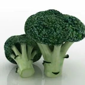 Broccoli Vegetable Flower Heads 3d model