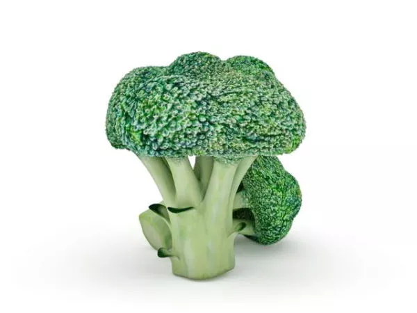 Green Cucumber V1 3d model