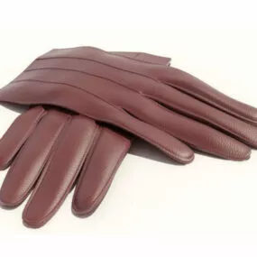 Home Leather Glove 3d model