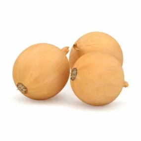 Nature Brown Onion 3d model