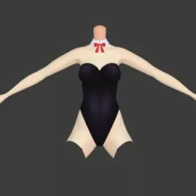 Bunny Girl Costume Fashion 3d model