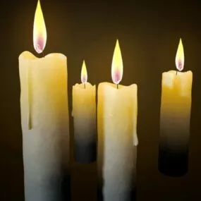 Burning Candles 3d model