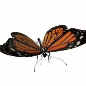 Wild Butterfly Animal 3d model