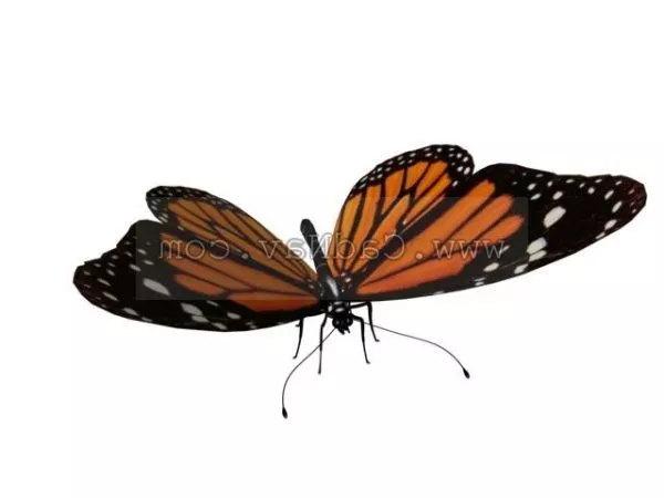 Cockroach Rigged 3d model