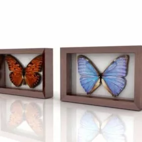 Butterfly Framed Showcase 3d model