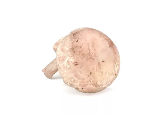 Colorful Cartoon Mushroom 3d model