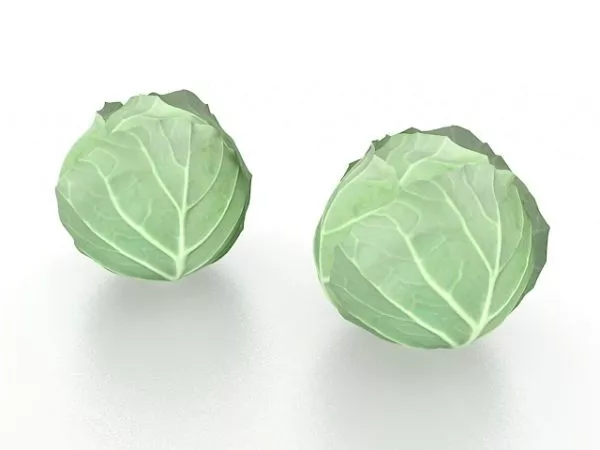 Cabbage Head 3d model