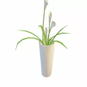 Calla Lily In Vase Decoration 3d model