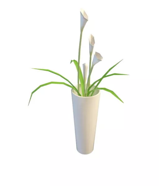 Calla Lily In Vase Decoration 3d model Calla Lily In Vase Decoration 3d model