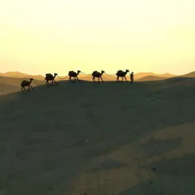 Camel Caravan In Desert 3d model