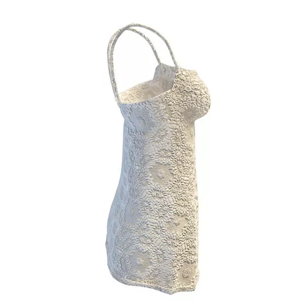 Clothing Camisole Lingerie 3d model Clothing Camisole Lingerie 3d model