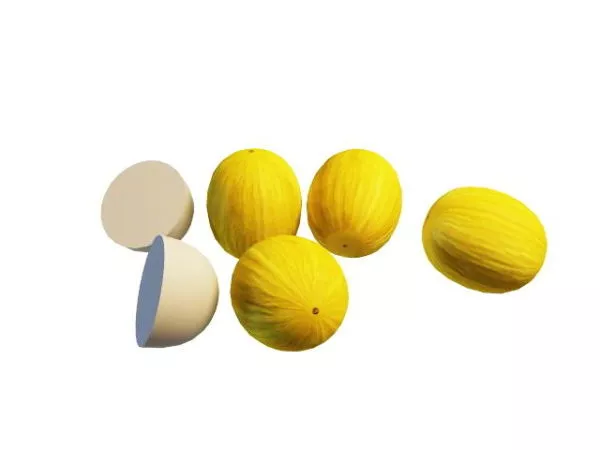 Canary Melon Fruit 3d model Canary Melon Fruit 3d model