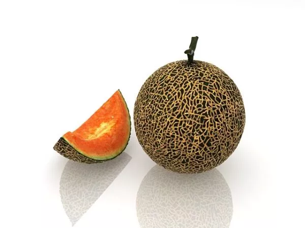 Cantaloupe Melon Fruit 3d model Cantaloupe Melon Fruit 3d model
