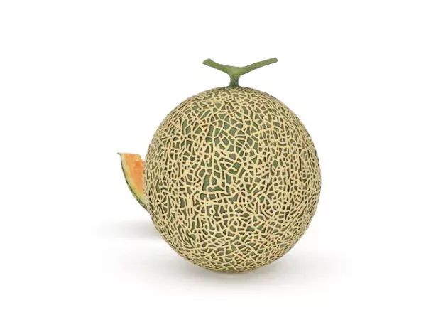 Fruits Cantaloupe Slice 3d model Fruits Cantaloupe Slice 3d model