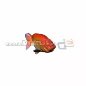 Animal Carassius Auratis 3d model