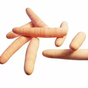 Carrot Vegetables 3d model