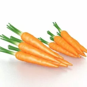 Fresh Carrots Vegetable 3d model