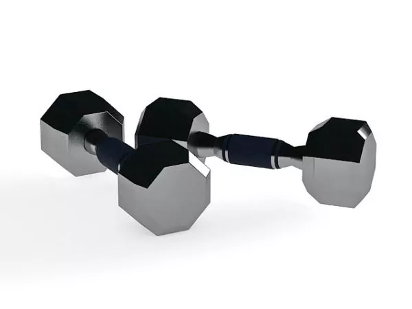 Dumbbell Steel 3d model