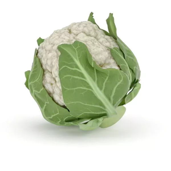 Cauliflower Vegetable 3d model Cauliflower Vegetable 3d model