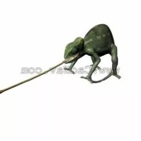 Chameleon Animal 3d model