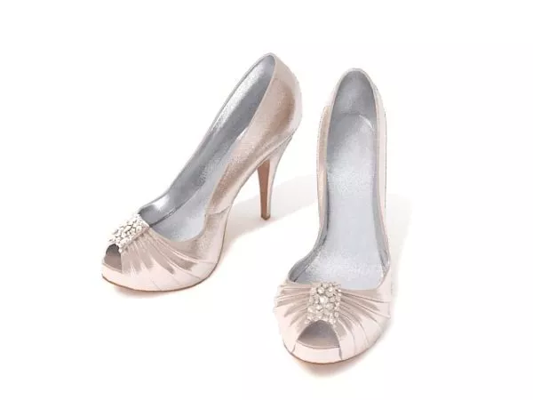Onion Shoe 3d model