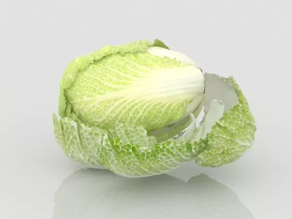 Chinese Cabbage Vegetable 3d model Chinese Cabbage Vegetable 3d model
