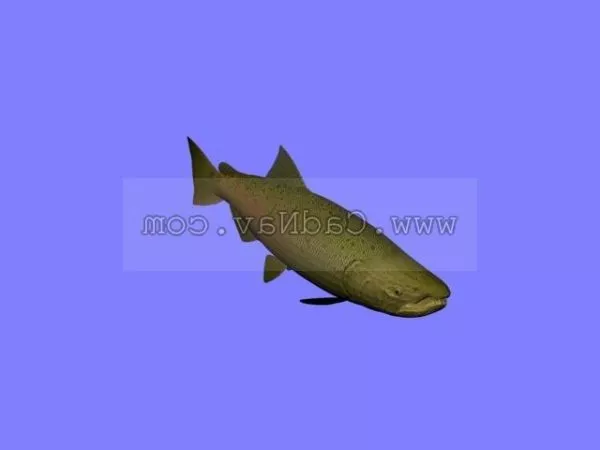 Small Fish Animal Realistic Animal 3d model
