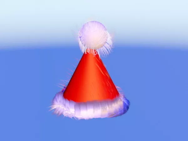 Big Hat 3d model
